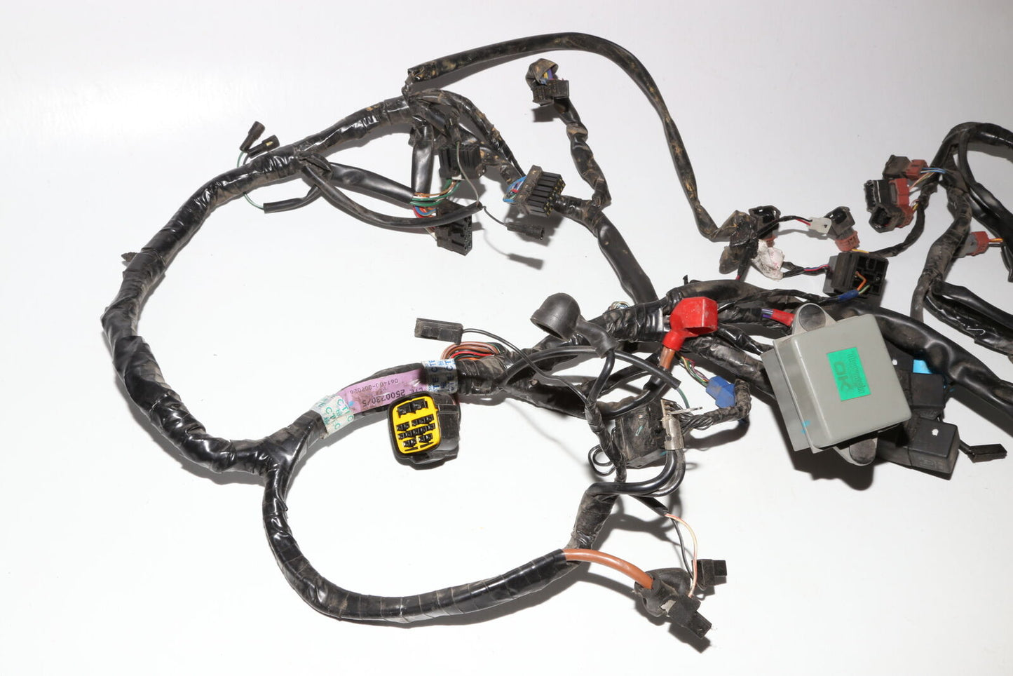 97-01 Triumph Speed Triple T509 Main Engine Wiring Harness Motor Wire Loom OEM