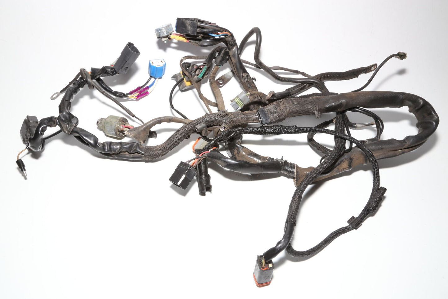 98-03 Harley-davidson Sportster XL 1200 Main Engine Wiring Harness Loom OEM