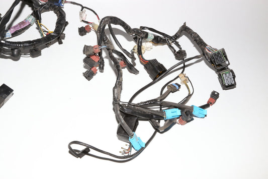 97-01 Triumph Speed Triple T509 Main Engine Wiring Harness Motor Wire Loom OEM